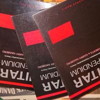 corso lezione chitarra ThePraxis Guitar Compendium
