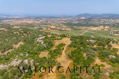 Loiri Porto San Paolo | Enas | Terreno agricolo co