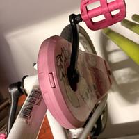 Bicicletta bambina fino 7 anni
