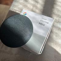 Amplificatore cassa Google