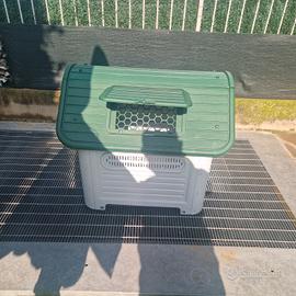 cuccia cani tg media