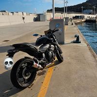 Honda hornet 600 2010