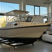 Boston whaler