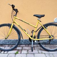 bicicletta mtb ragazza/o