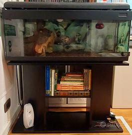 acquario/terrario