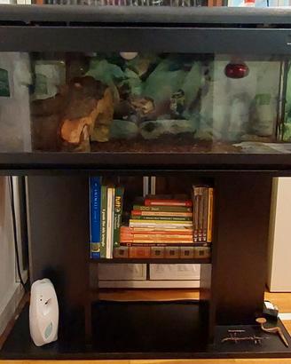 acquario/terrario