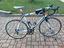 Immagine 4