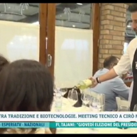 Cameriere