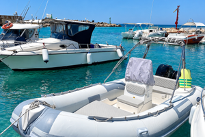 Gommone predator 540