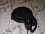 Immagine 4