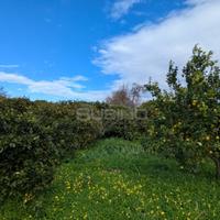 Terreno Agricolo - Siracusa