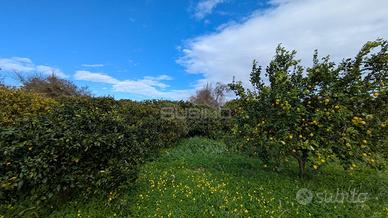 Terreno Agricolo - Siracusa