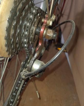 Bici uomo 28
