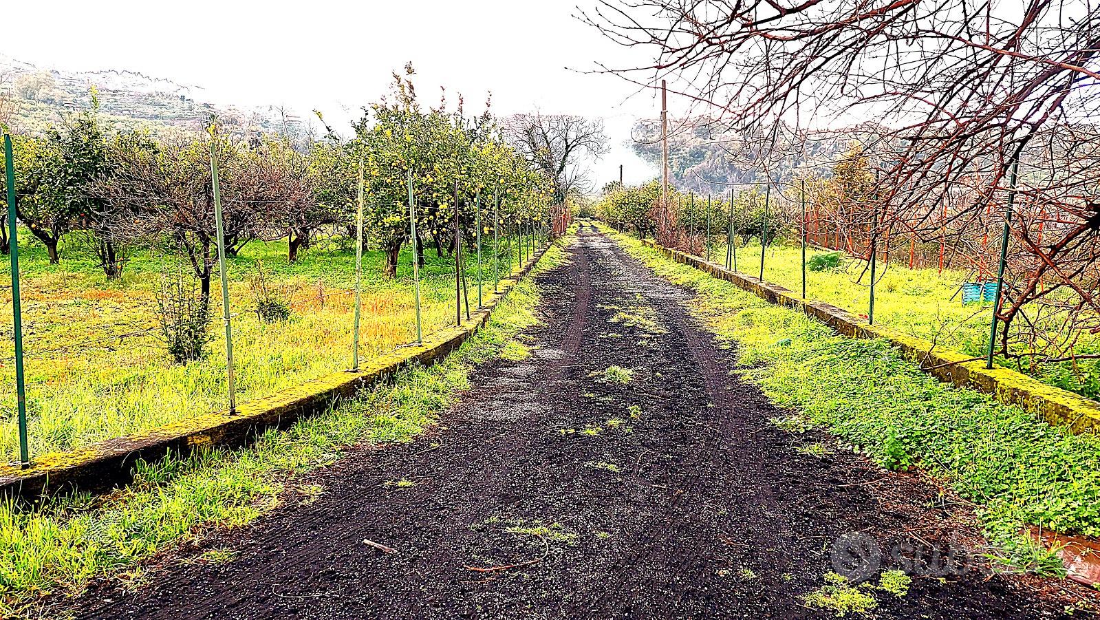 Terreno Agricolo con Ampio Casolare - Altro