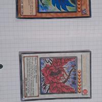 Drago Rosa Nera e Drago rosa Blu