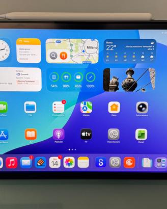 iPad Pro 11" 256GB 2nd gen + A. pencil 2 + access