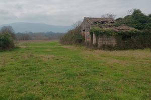 Terreno e rudere a Ripi (Frosinone)