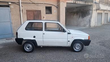 panda