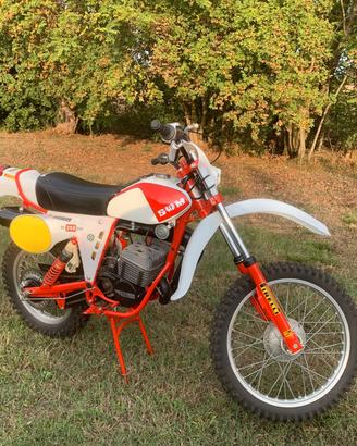 swm RS 250 gs
