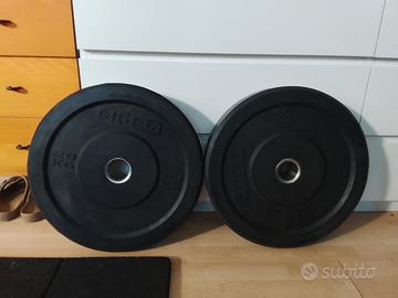 coppia dischi bumper 