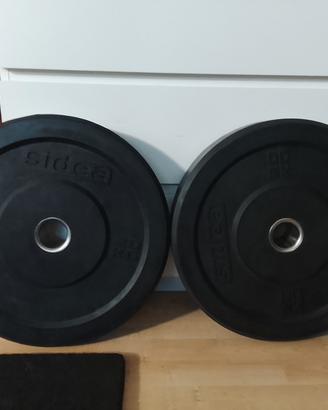 coppia dischi bumper 