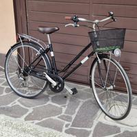 Bici Alpina Rondine -