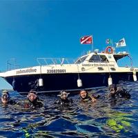 Imbarcazione uso diving