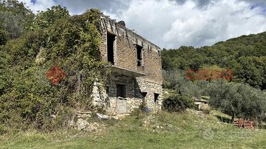 Rustico/Casale/Corte Torre Cajetani