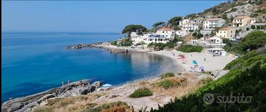 Isola d'Elba bilocali 100m dalla spiaggia Seccheto