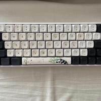 Keyboard EPOMAKER Skylong GK61 with panda keycaps