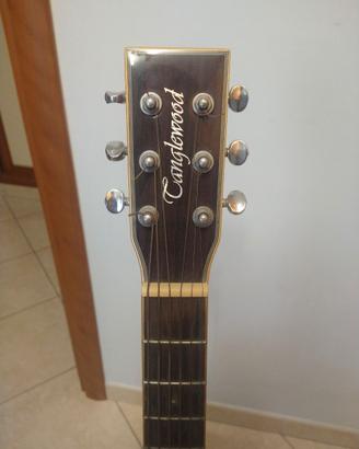 CHITARRA Tanglewood TSF CE R Evolution Folk