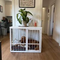 Kennel