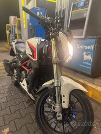 Moto Benelli Bn251