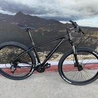 Mountain Bike Artigianale Alessi da 29-Alluminio