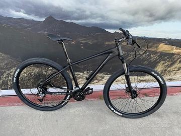 Mountain Bike Artigianale Alessi da 29-Alluminio