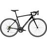cannondale-caad-optimo-2