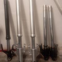 forcella + stelli triumph