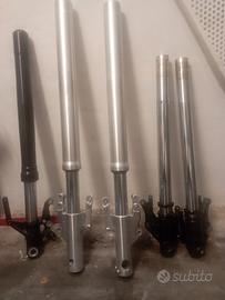 forcella + stelli triumph