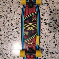 Skateboard Twins