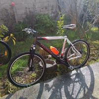 Bici Vianelli Comp