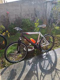 Bici Vianelli Comp