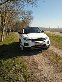 range rover evogue  2.0 turbo diesel 150cv