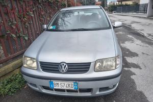 Polo 999 €