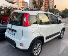 Fiat Panda 4x4 Iva esposta Finanziabile Garanzia