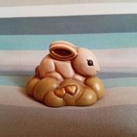 Coniglio Thun su prato