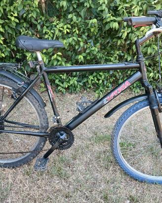 Bici montain bike