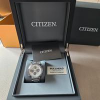 Citizen Bull head 2 mesi di vita