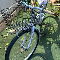 Daisy jumpertrek lady bike