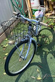 Daisy jumpertrek lady bike