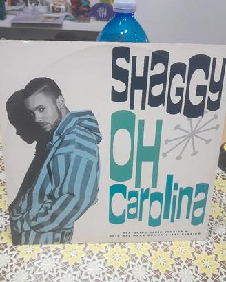 disco in Vinile 